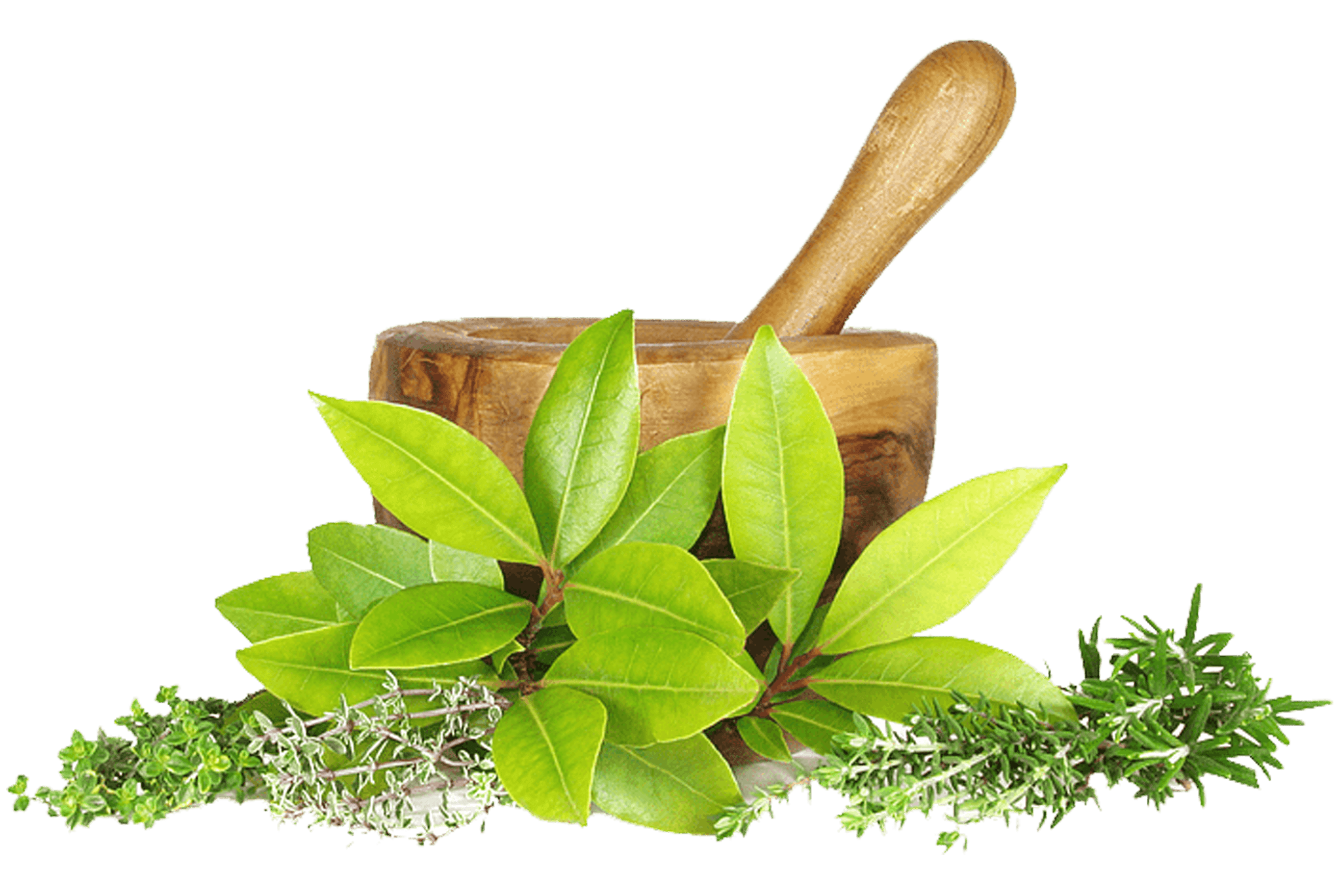 Ayurvedic medicine for body heat